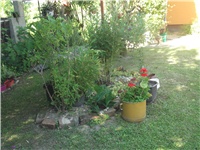 3beb2d60-Picture 019.jpg